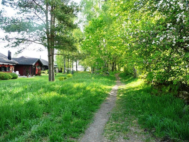 Mellan Skördegatan, kvarteret Oxbäret, och Murgrönan är det 20 meter. Området ägs av kommunen och är allmän platsmark, natur.