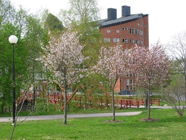 för elektronikkonstruktion