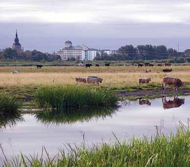 GRUNDVATTENRESURS Under Kristianstadsslätten finns en av Sveriges mest intressanta grundvattenförekomster. Mängden tillgängligt vatten är mycket stor, kanske den största i norra Europa.