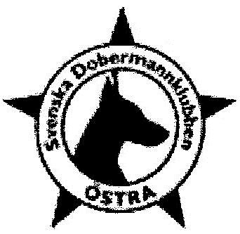 Verksamhetsberättelse för Svenska Dobermannklubben Östra LO verksamhetsåret 2013 Östra lokalområdet har under året 2013 haft 2 st mentalbeskrivningar (MH).