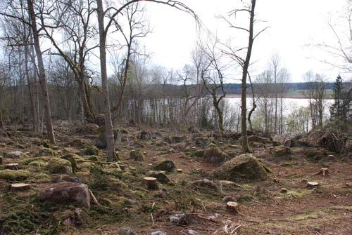 rad år och hyser en stor ansamling rödlistade växter och djur. Bland annat finns flera sällsynta skalbaggar knutna till lind och som omfattas av ett särskilt åtgärdsprogram.