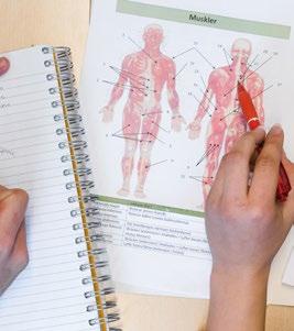 Inriktningar: Naturvetenskap, Naturvetenskap och samhälle Vårt Naturvetenskapsprogram kännetecknas av att utbildningen bedrivs verklighetsnära.