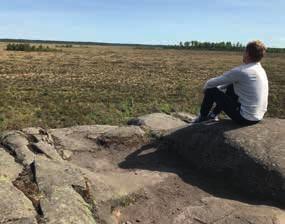 Siggaboda är en av Kronobergs mest spännande naturskogar med blandskog av bok och gran. Här har funnits skog i närmare 000 år men under stormen Gudrun 00 föll väldigt mycket skog.