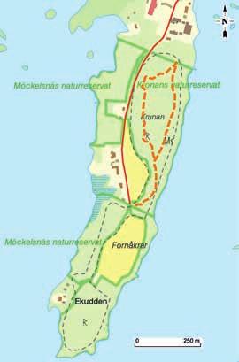 KRONANS NATURRESERVAT Längd: Blå km. Orange, km. Det är en speciell känsla att vandra i Kronan lövträdens kronor bildar ett tak som gör att det känns sagolikt och mystiskt.