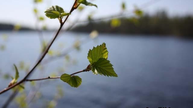 Time-out! Varje år är det likadant! Man bara väntar och väntar på att sommarlovet skall börja och så med ens händer det!