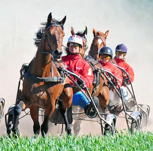 SVENSK TRAVSPORTS ÅRSSTATISTIK 0 HÄSTAR I TRÄNING Antalet hästar i A- och B-träning under de senaste tio åren. Siffrorna är per den /0 respektive år.