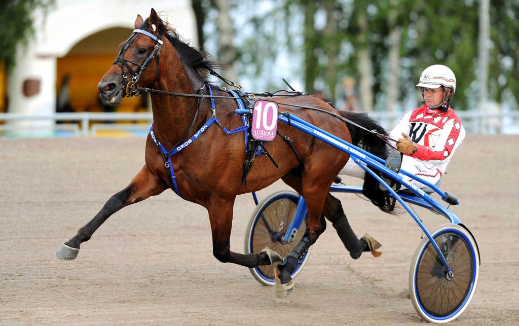 SVENSK TRAVSPORTS ÅRSSTATISTIK 0 BETÄCKNINGSSIFFROR VARMBLOD Zola Boko Hingst Antal betäckningar S:t Göran Sugar Trader Super Arnie 6 Super Photo Kosmos Symphonic Hanover 60 Syrinxian 0 Tap In 7 Text