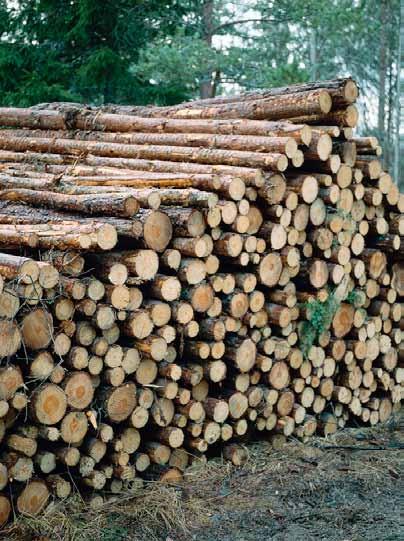 Rörvik rör till marknaden Att Rörvik Timber står under rekonstruktion har väl knappast undgått någon.