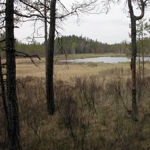 1009262 Farbergskärret (F6) Kommun Myrregion Jönköping B Areal land varav myr 16 146ha Totalareal 162ha Areal vatten 3ha Areal skogsmark ovan fj.gräns Areal skogsmark ned. fj.gräns 14ha varav prod.