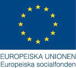 SLUTRAPPORT BESÖKSNÄRING I