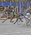 e Kyril Hnover - : --, : --, Tot: -- Ldy Wll Street e Sugrne Hnover Goop B L / - /, Uppf: Mellby Gård AB, Mlmö Goop B E / - /, Äg: Mellby Gård AB, Mlmö Adielsson E B / - /, *Gul, blå/vit rndig, blå