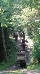 Hyssnaleden Sevärdheter Längs Hyssnaleden, som är ca 4mil lång, finns ett antal sevärdheter. Längs leden informerar skyltar om natur och kultur.