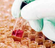 Kursen behandlar normalfunktion, patologi och farmakologi inom cirkulation, ämnesområden som behandlas är molekylär biologi.