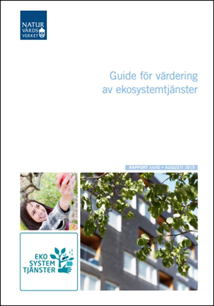 Värdering steg-för-steg. 1. Vad ska du använda värderingen till? 2. Identifiera ekosystemtjänster 3.