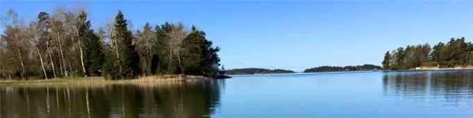 Föreningstämma i Ornö Brevik