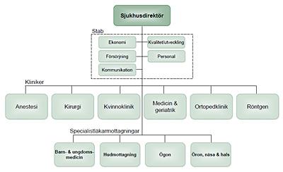 Uppgift 1 I uppgiften till seminarium 2 ingick att diskutera arbetsdelningen på Karlskoga lasarett (KL).