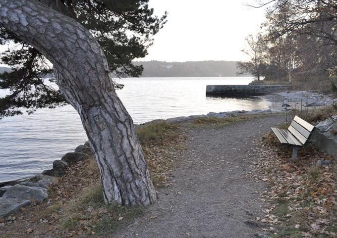 Staden satsar på naturen i Brevik Delar av styrelsen (läs Johan Ahlbom och Birgitta Sjöberg) träffade representanter för park- och naturfrågor från Lidingö Stads Tekniska förvaltning, Michael Bergman