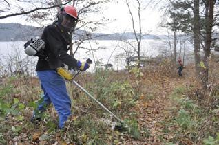 Under en förmiddag i oktober promenerade man runt i Brevik, runt ängarna och fram till Högudden för att diskutera förbättringar och nödvändiga åtgärder i området.