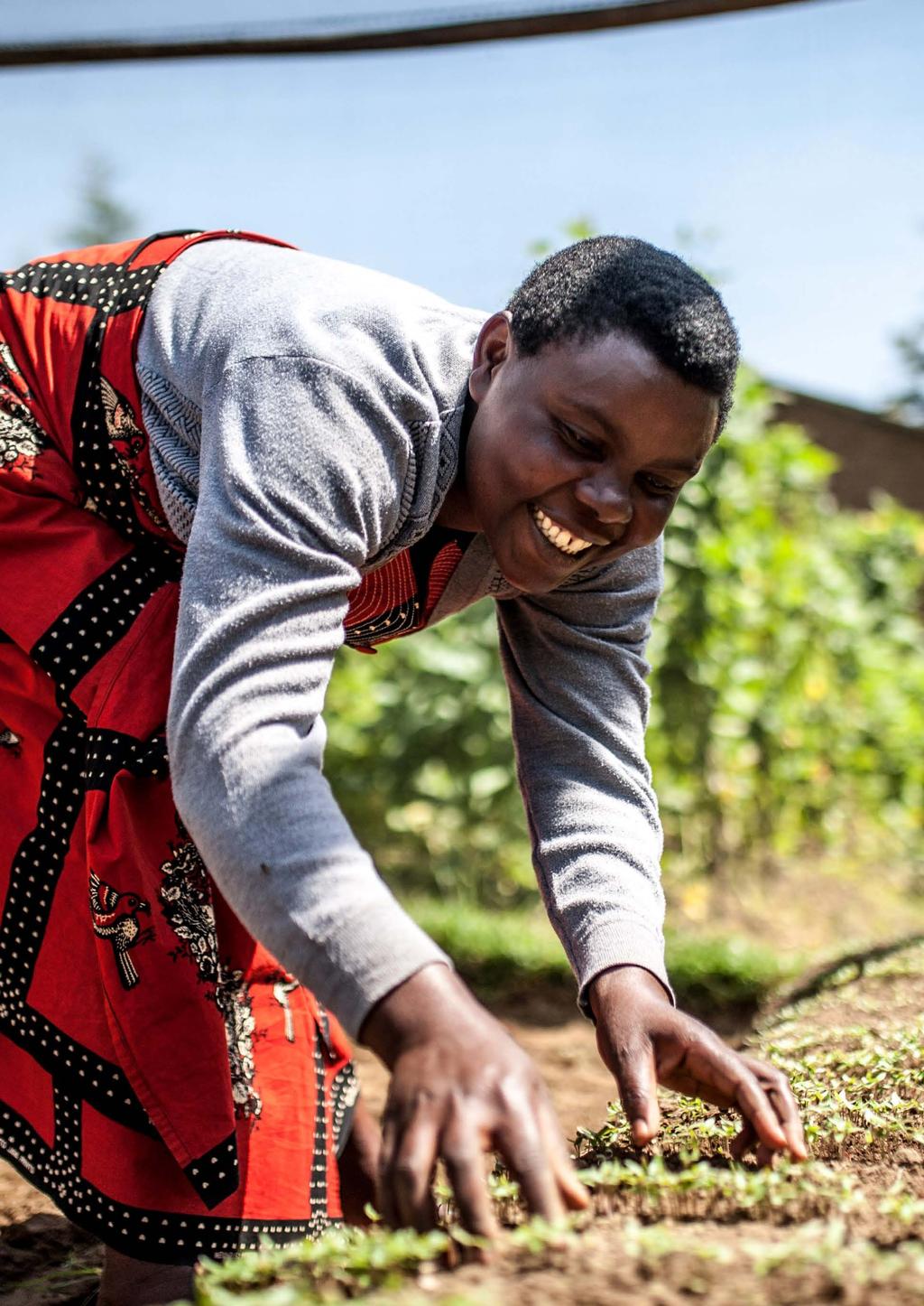 Flonira Mukamana, 43 år, ser till sina trädtomater. Flonira bor i Musanzedistiktet i norra Rwanda.