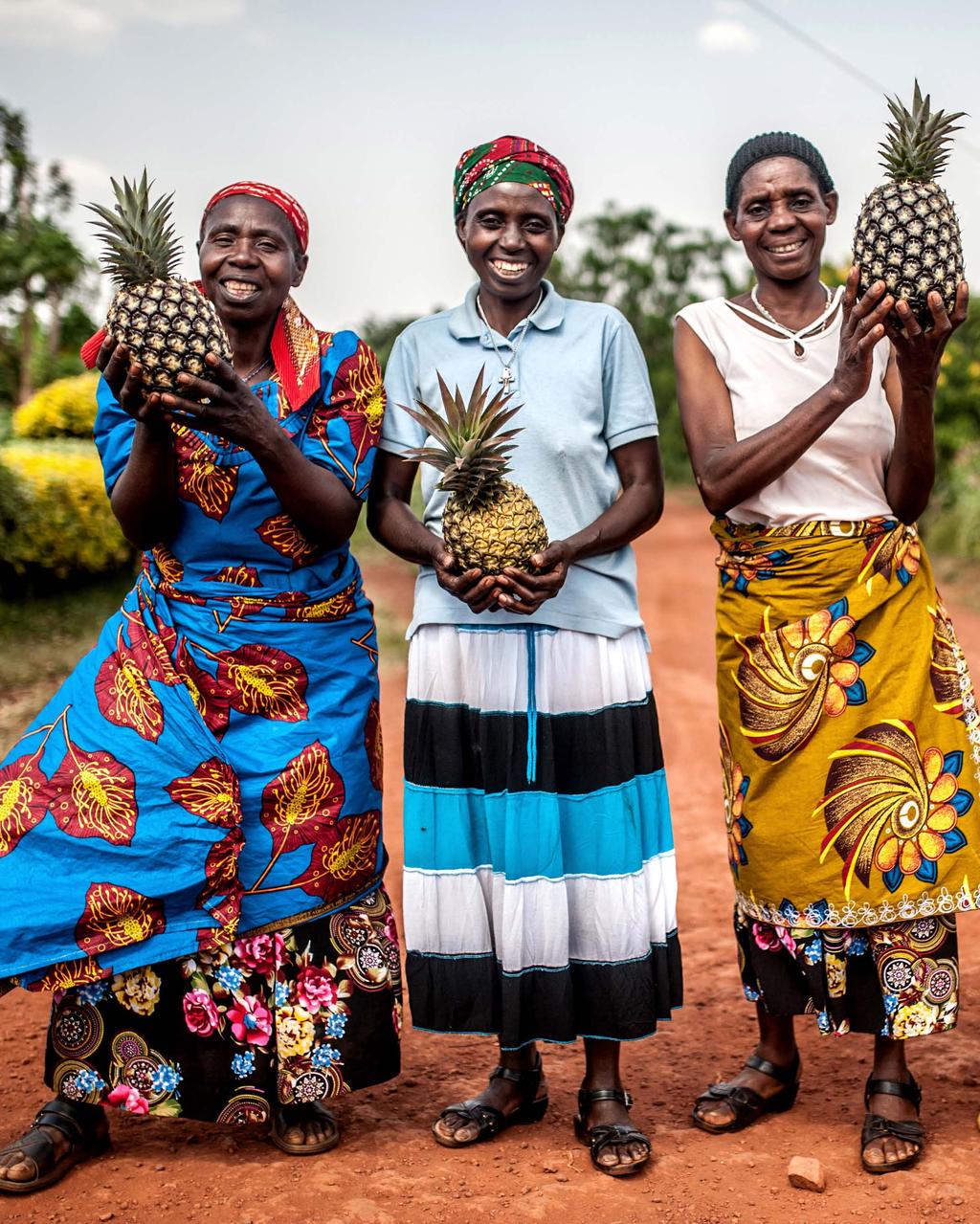 Fem kvinnor från ett kvinnokooperativ i Kirehedistriktet i östra Rwanda. Kvinnorna odlar och säljer ananasfrukter.