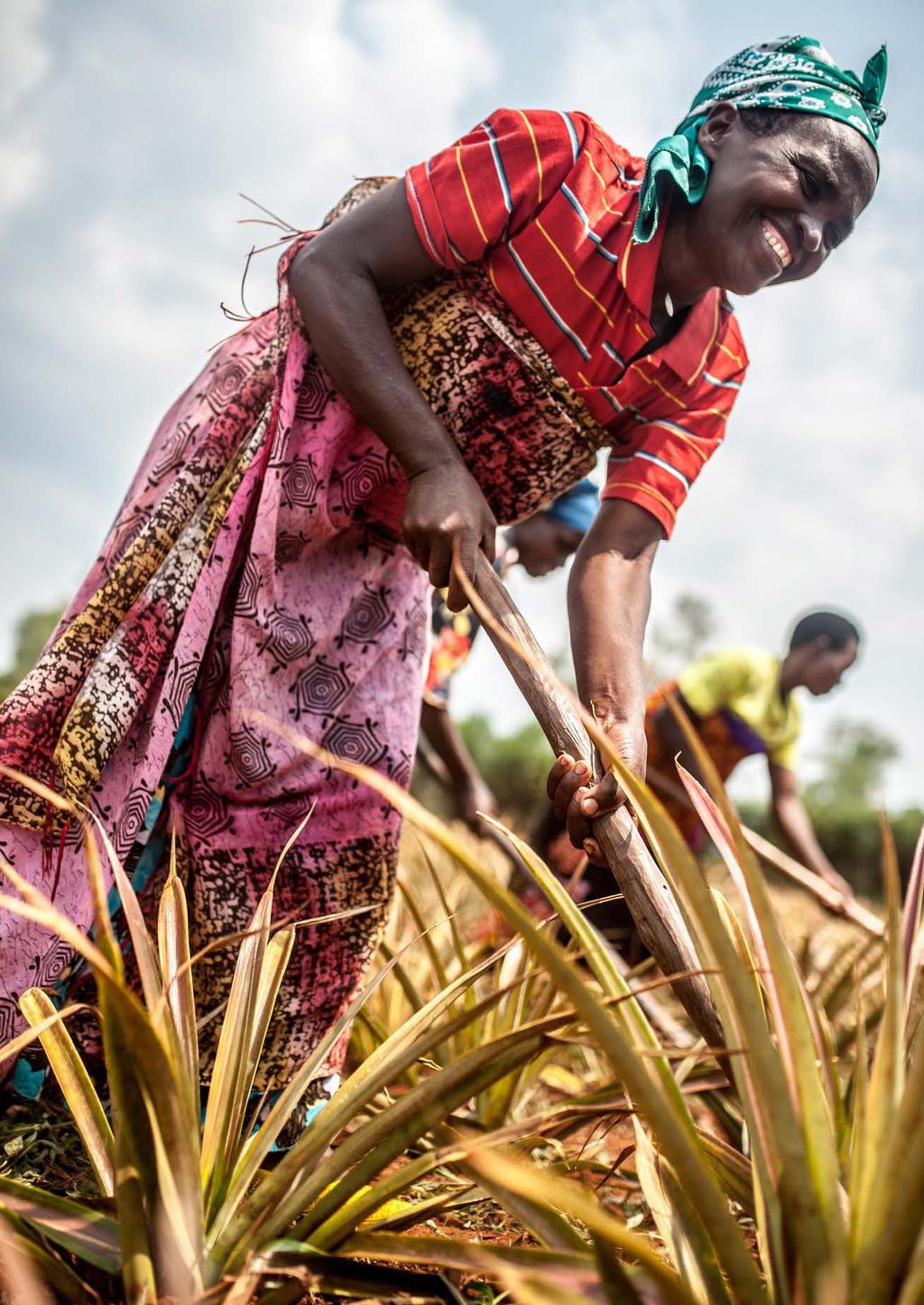Ayinkamiye Josepha arbetar i kvinnokooperativet Tuzamurane i östra Rwanda. Kooperativet odlar och säljer ananasfrukter.