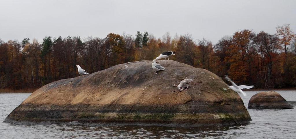 Vattenstånd Huggarudden Malen här syns