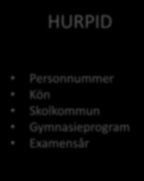 + ProgramTyp HURPID