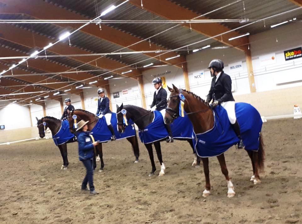 Häst I Div 2 var det 4 (3) som startade. Segrade gjorde Umeå DRS.