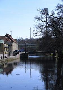 Variationen ger förutsättning för en mångfald av arter.