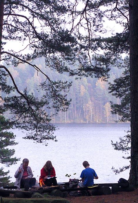 Även skogsbruk påverkar vattenkvaliteten genom att mer kväve och slam tillförs vattnet. Många vattendrag har rensats på block, rätats och grävts till diken.