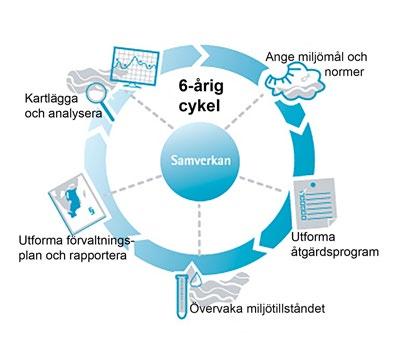 10 Vad kan vi göra? EU:s vattendirektiv EU ser vattnet som en av de viktigaste frågorna för Europas framtid. Man har insett att arbetet måste ske i avrinningsområden över kommun- och nationsgränser.