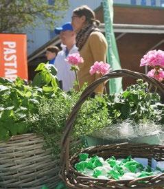 I KORTHET Foto: Hanna Grön Miljödag i soligt Hässelby inspirerar till klimatmedvetna hem I mitten av maj deltog Stockholmshem på Hässelby Centrums miljödag.