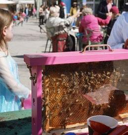 Det var en av de få riktigt varma och sköna lördagarna i maj som Hässelby torg förvandlades till en plats där miljöfrågor fick stå i centrum och besökarna fick tips hur man gör sitt boende mer