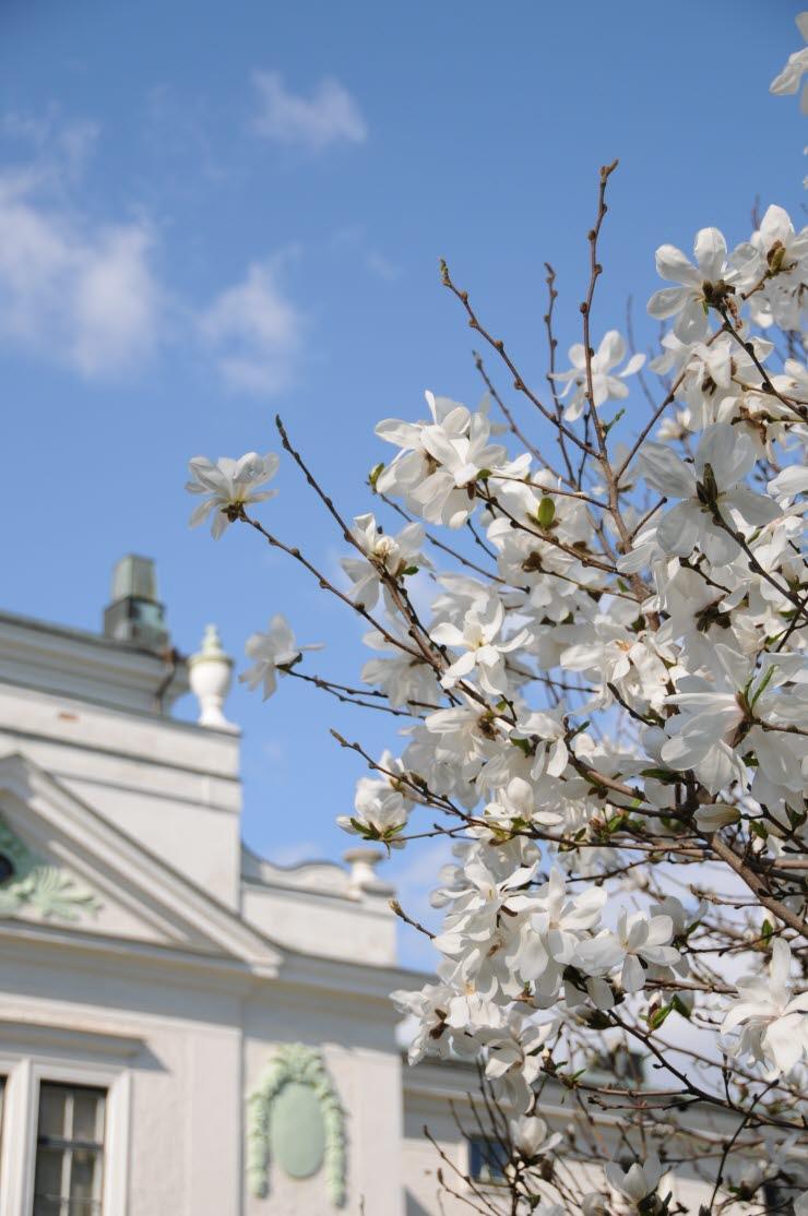 Positiva associationer - exempel Sommar - glädje - härlig dialekt Sola i Karlstad Skog och fin natur Trevliga människor Mycket som händer i form av aktiviteter