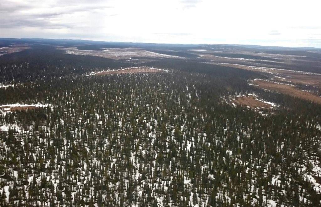 Kalvningsområdet i