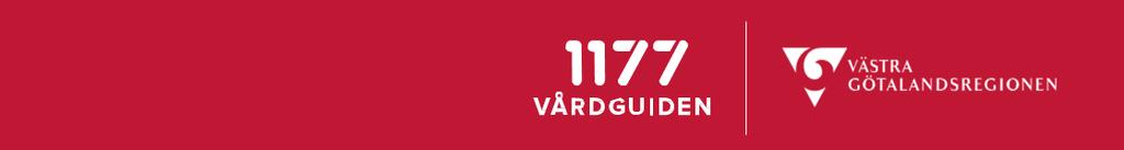 Guide till hur du loggar in i 1177 Vårdguidens e-tjänster Du kan logga in till 1177