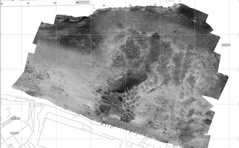 Bottentyp och identifiering av bottenfauna och objekt kan göras m.h.a sidotittande sonar (side scan sonar, SSS) eller backscatterdata (energiåtergivning likt SSS) beräknat från multistrålande ekolod.