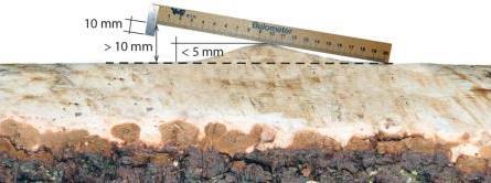 mantelytan under bark är större än 5 mm Beaktas enbart för tall