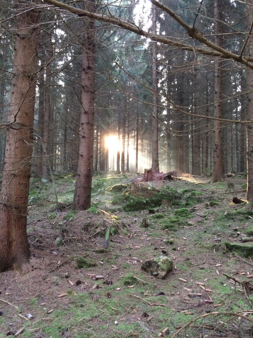 S IDA 12 NUMMER 1, 2017 Tekniska sektionen Bengt I har haft en tuff vinter och vi är många som har saknat honom.