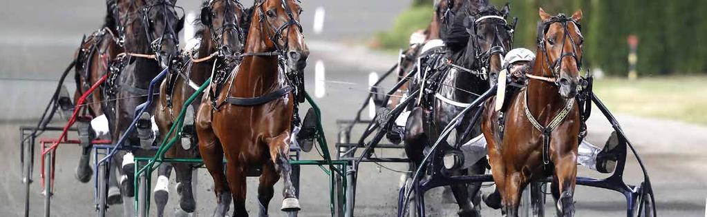 TIPS Av Solvalla Lopp 6 analysen... 8 Antonio Trot 8 ANTONIO TROT 10 Carabinieri imponerade stort vid segern senast och är 3 Volocity De Vie hästen att slå i det 9 Qahar Q.C. inledande stayerloppet.