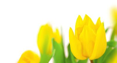 Onsdag 28 mars 2018 7 Dannemorabygdens Församling Utställning i Österbybruks kyrka Tillsammans-Skapelse pågår Onsdag 28/3 kl. 18.