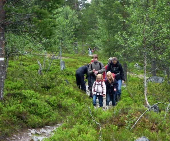 möjliga sätt. Dagsturerna anpassas efter väder och därför kastar vi om i programmet när det behövs.