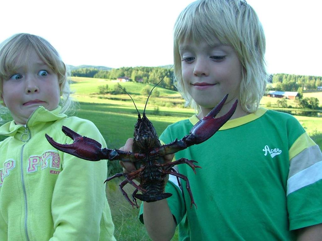 Flodkräftfiskevård i praktiken!