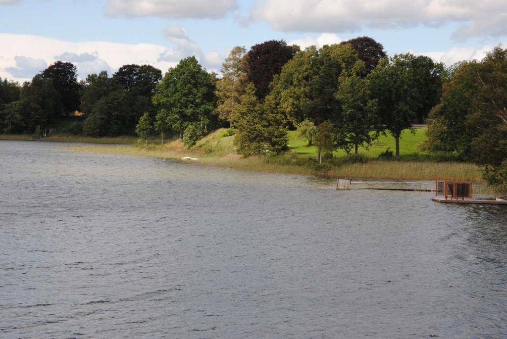 Biotopvård i en sjö Bitopvård kan med fördel ske på de platser där man har sin fiskeplats ex: Utläggning av större stockar och grenar Tegelpannor/stenar