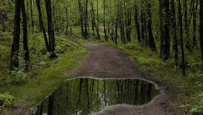 Svalande skådare Änggårdsbergen 2011 Änggårdsbergen är ett 220 hektar stort reservat med många fåglar, ibland fler än man kan tro.