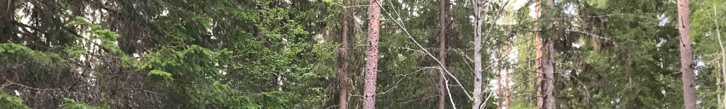 Skogsstyrelsens Skogens Pärlor. Riksantikvarieämbetet beskriver fäboden och delar av den som fornlämning.