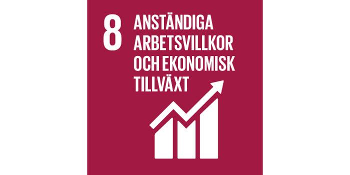 Exempel arbete (mål 8) * Knappt 60 procent av personer med funktionsnedsättning och nedsatt arbetsförmåga hade sysselsättning under 2016.