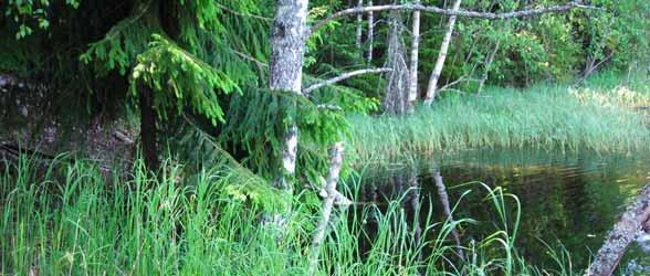 Undersökningsresultaten ger därmed en indikation om vilka föroreningar som kan finnas i muddermassorna.