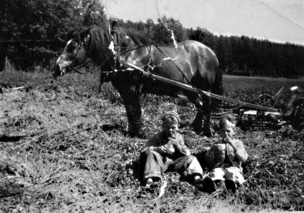 Bild 22. Slåtter på Ängstugans mark 1952. Bengt-Göran Andersson på Hultstugan t.v. och jag till höger. Hästen Faggen med slåttermaskinen i bakgrunden.