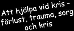 1. Hjälp dem åtgärda faktiska prblem ch missförhållanden. 2. Hjälp dem nyansera sina kartr 3. Hjälp dem till rimliga ch realistiska förväntningar 4.